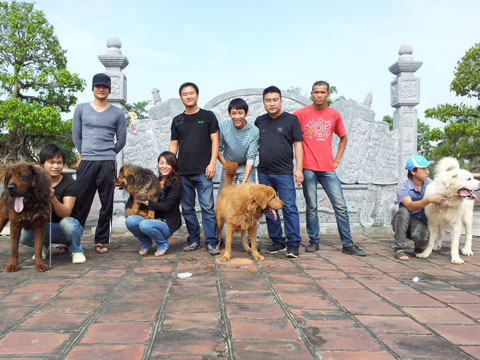 Anh[-]Hoàng[-]và[-]một[-]số[-]người[-]cùng[-]đam[-]mê[-]nuôi[-]chó[-]Ngao[-]Tạng[-]tại[-]Quảng[-]Yên,[-]Quảng[-]Ninh